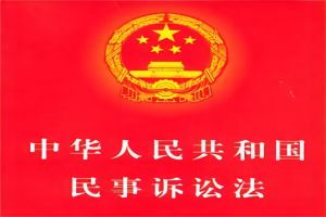 中华人民共和国民事诉讼法（2021年修正）