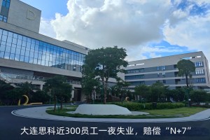 赔偿“N+7”，大连思科裁员近300人